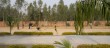IMG-20171124-WA0008