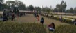 IMG-20171228-WA0001